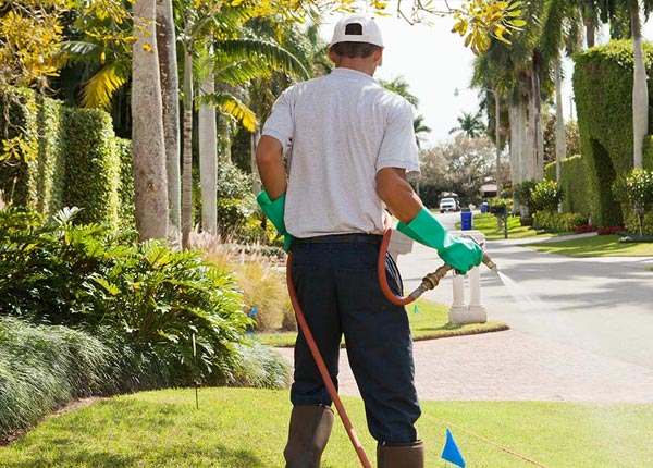 About Elkville IL Pest Control